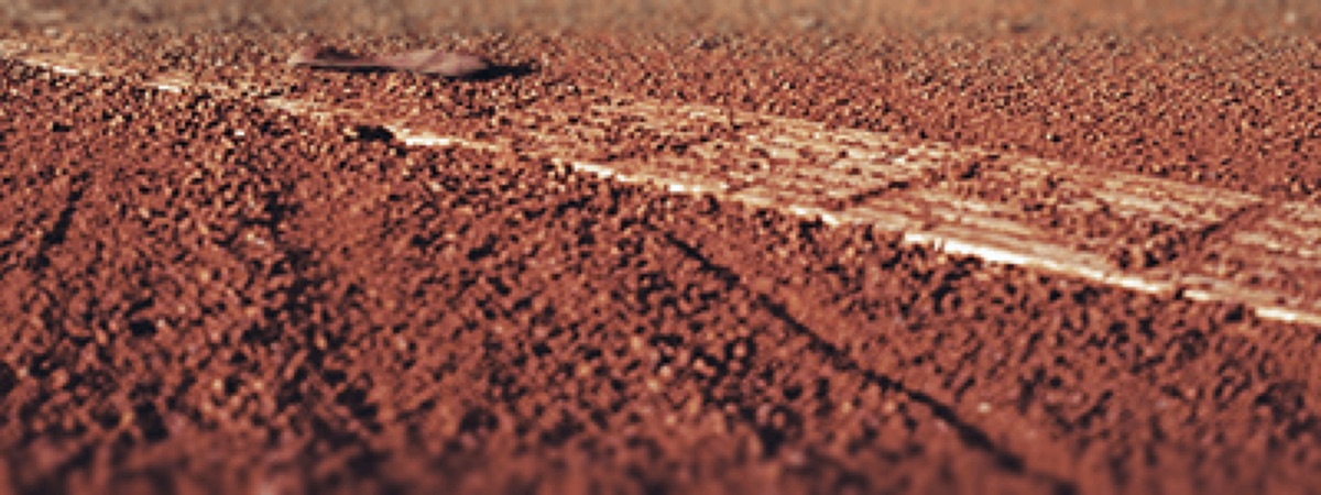 Canchas de Stade Francais